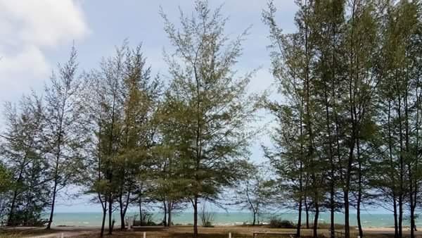 Paka Tamim Seaview Hotel Eksteriør billede
